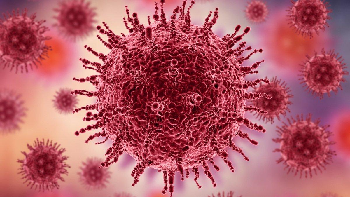 Mengenal Hantavirus: Gejala, Masa Inkubasi, dan Cara Penularannya